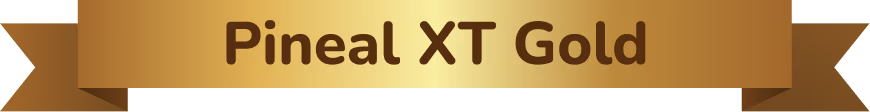 pxt_banner_gold
