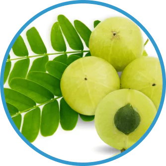 Amla Extract